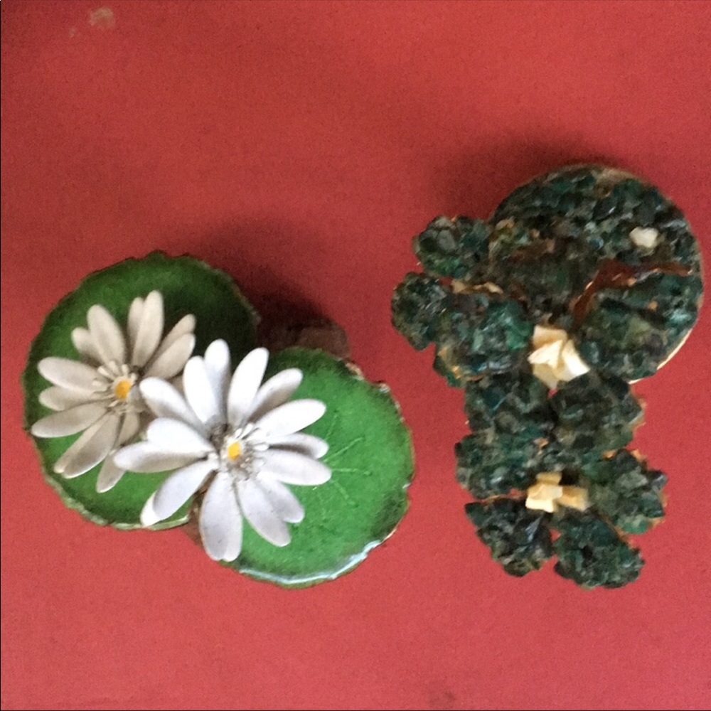 Rare Hobe’ gem tree And copper enamel lily